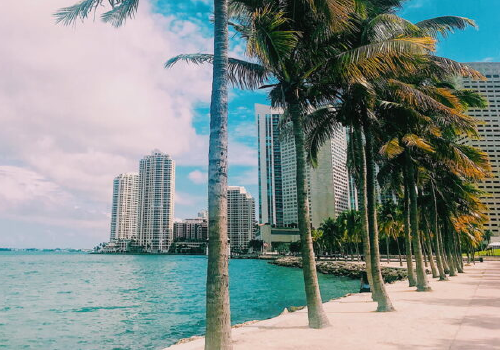 Spirit tiene nueva ruta directa a Miami desde el José María Córdova, de Rionegro